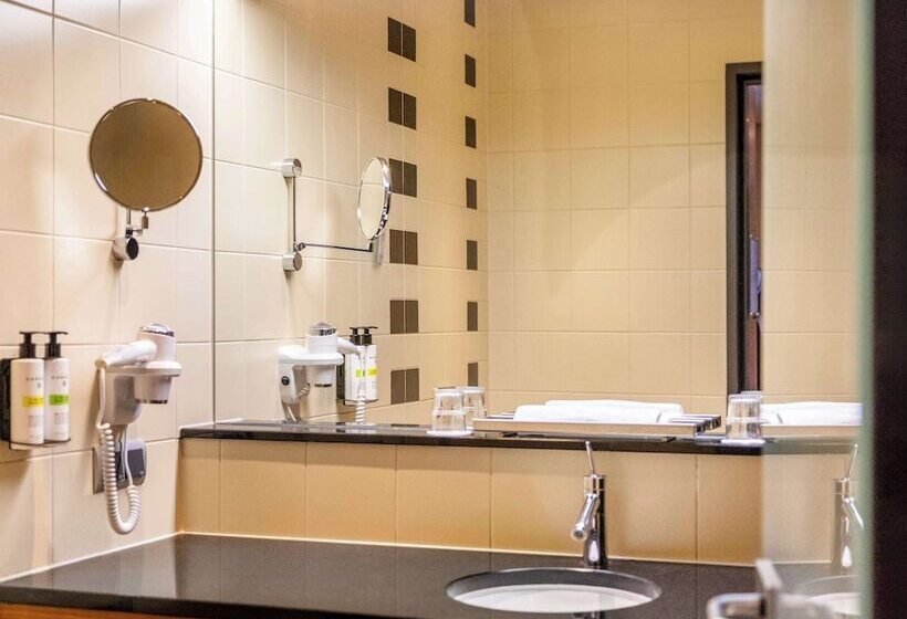 חדר סופריור, Pullman Eindhoven Cocagne