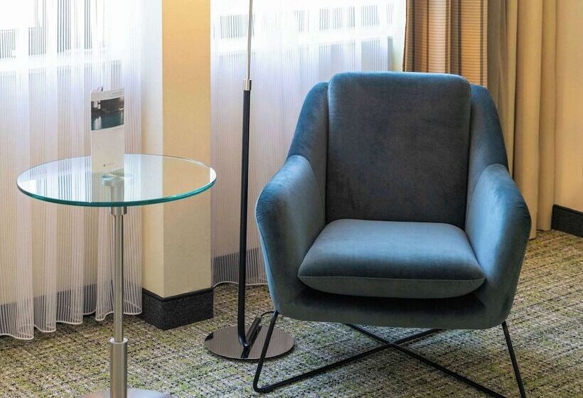 חדר סופריור, Pullman Eindhoven Cocagne