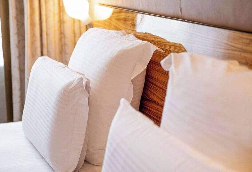 חדר סופריור, Pullman Eindhoven Cocagne