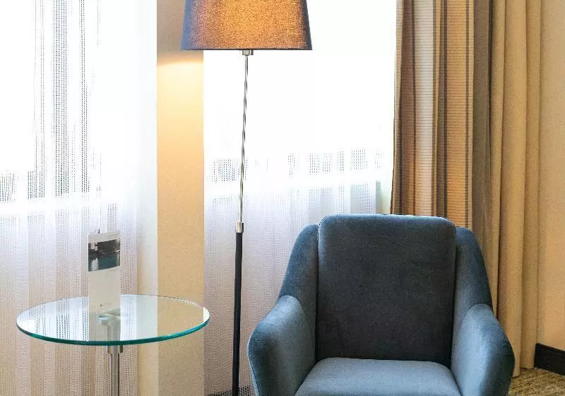 اتاق سوپریور, Pullman Eindhoven Cocagne