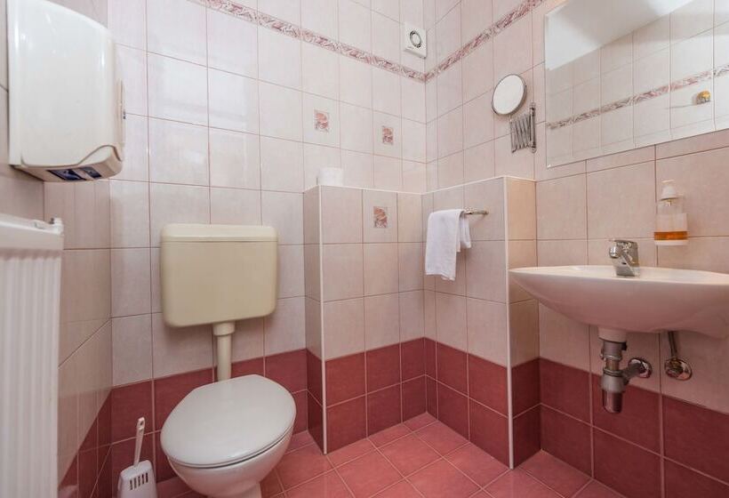 اتاق استاندارد, Ribno Alpine