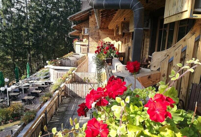 اتاق خانوادگی, Ribno Alpine