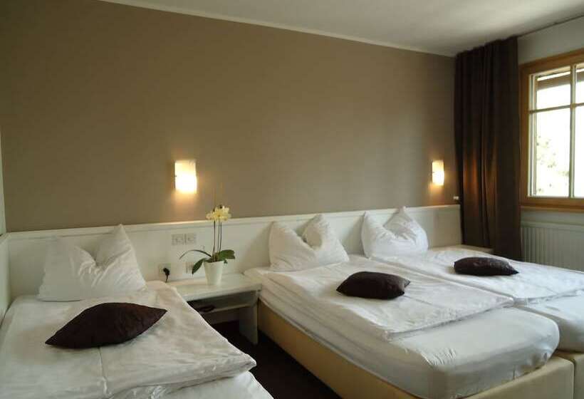 اتاق خانوادگی, Ribno Alpine