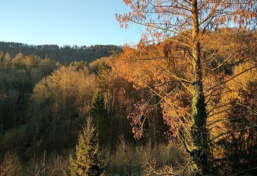 اتاق خانوادگی با چشمانداز کوه, Trojane