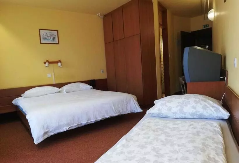 Triple Classic Room, Trojane