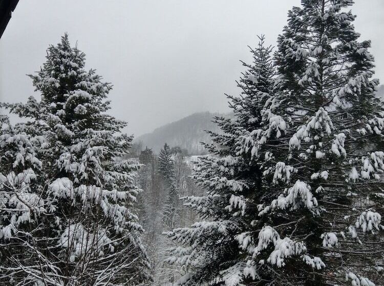 اتاق کلاسیک سه تخته, Trojane