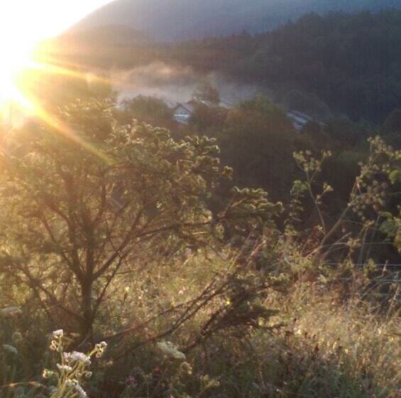 اتاق کلاسیک سه تخته, Trojane