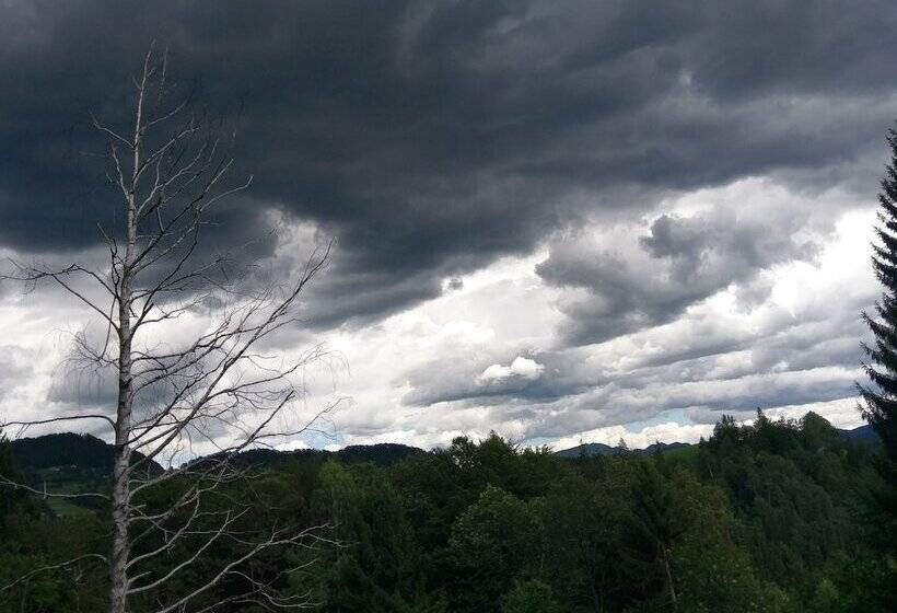 اتاق کلاسیک یک تخته, Trojane