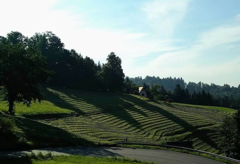 اتاق کلاسیک یک تخته, Trojane