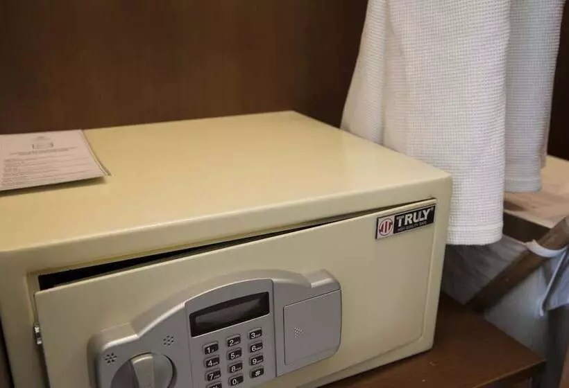 اتاق لوکس با تخت بزرگ, Ttc Hotel Michelia