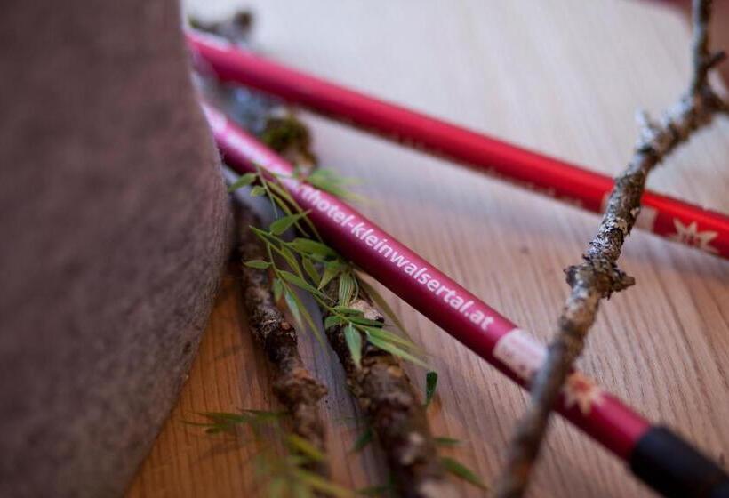 غرفة قياسية, Aparthotel Kleinwalsertal