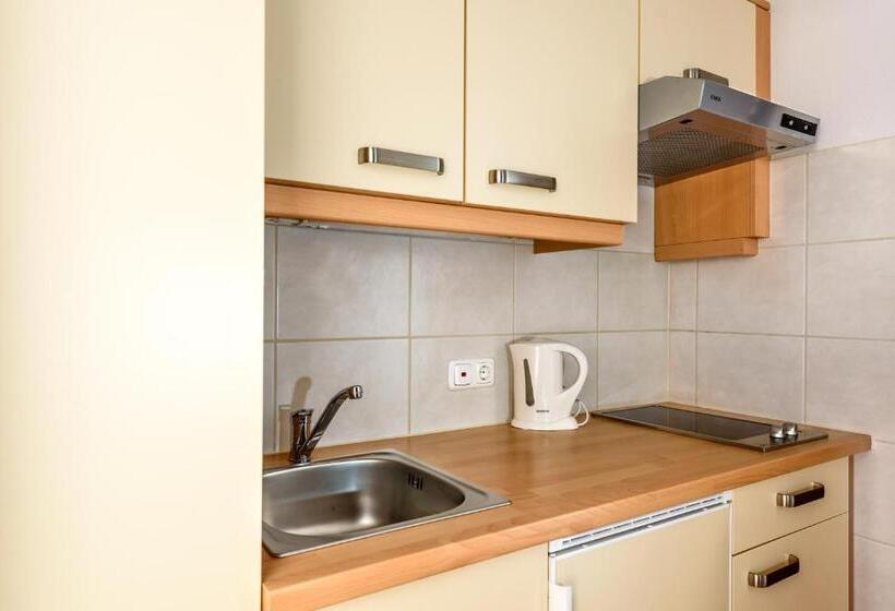 شقة غرفة واحدة, Aparthotel Kleinwalsertal