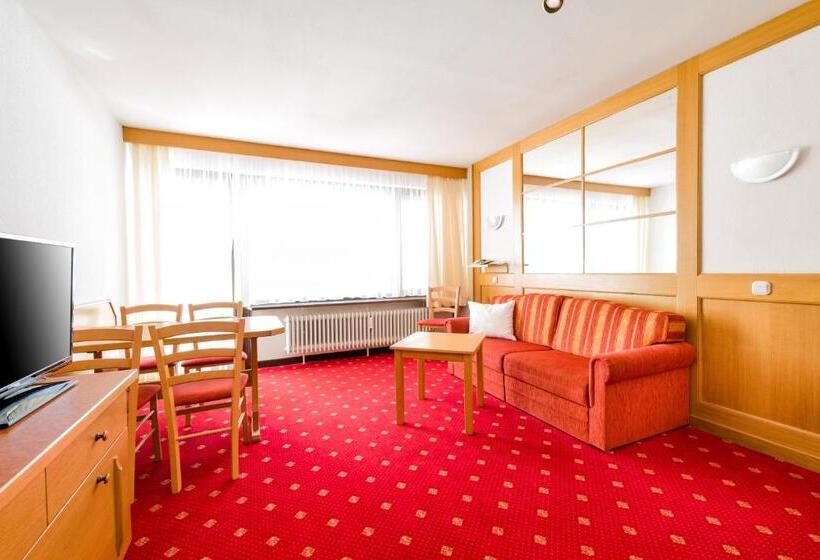 شقة غرفة واحدة, Aparthotel Kleinwalsertal