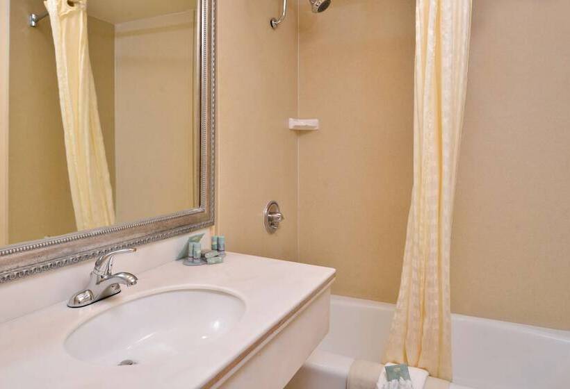 غرفه قياسيه سريرين مزدوجين, Best Western Hollywood Plaza Inn Hotel   Hollywood Walk Of Fame La