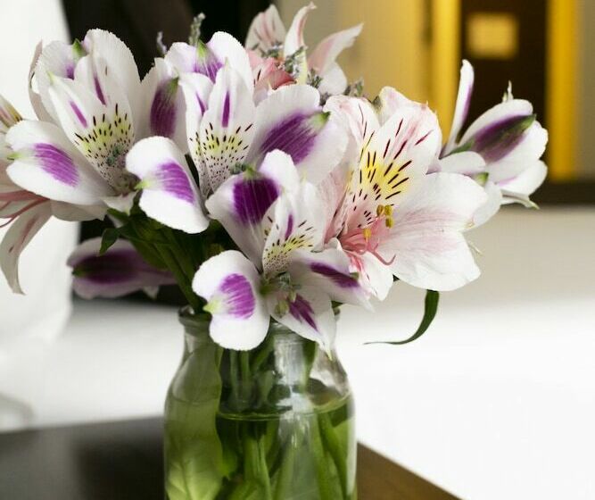 سوییت جونیور, Park Royal City Buenos Aires