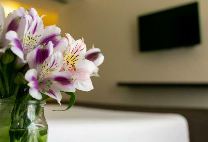 سوییت خانوادگی, Park Royal City Buenos Aires