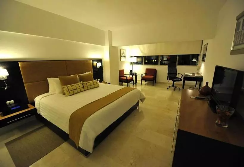 اتاق استاندارد با تخت بزرگ, Radisson Hotel Santo Domingo