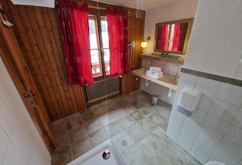 חדר סטנדרט עם מרפסת, Schlosswirt