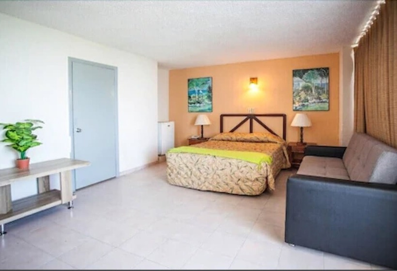 스탠다드 룸, Tiuna