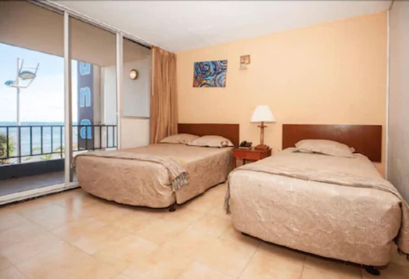 스탠다드 룸, Tiuna