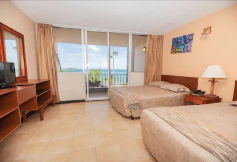 스탠다드 트리플 룸, Tiuna