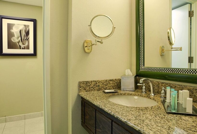 套房, Hilton Orlando Lake Buena Vista Disney Springs® Area