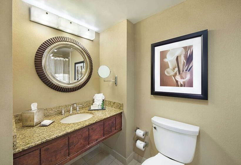 套房, Hilton Orlando Lake Buena Vista Disney Springs® Area