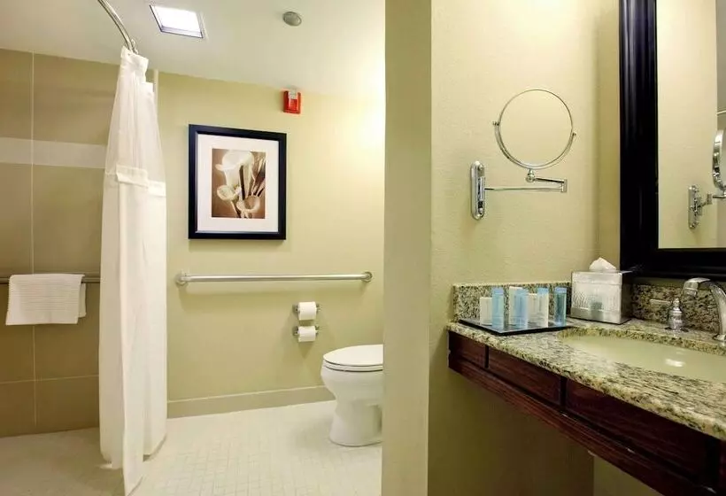 デラックスルーム, Hilton Orlando Lake Buena Vista Disney Springs® Area