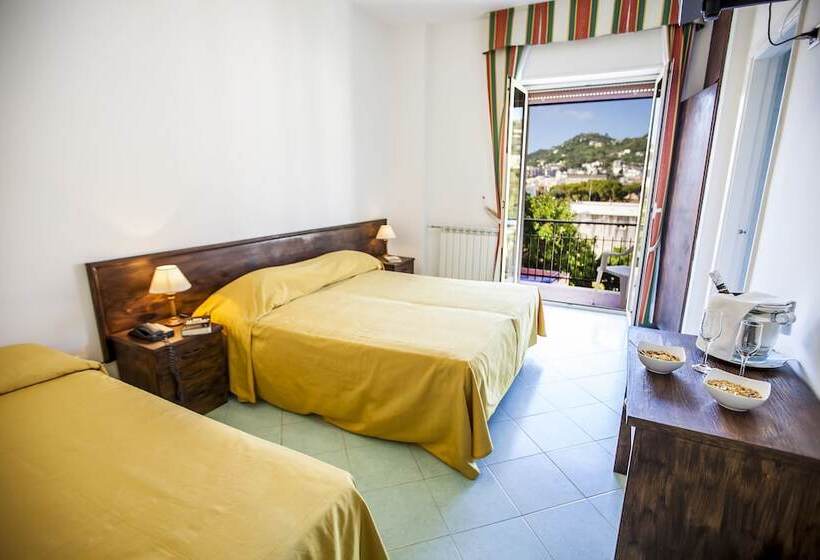 اتاق استاندارد یک نفره, Conte