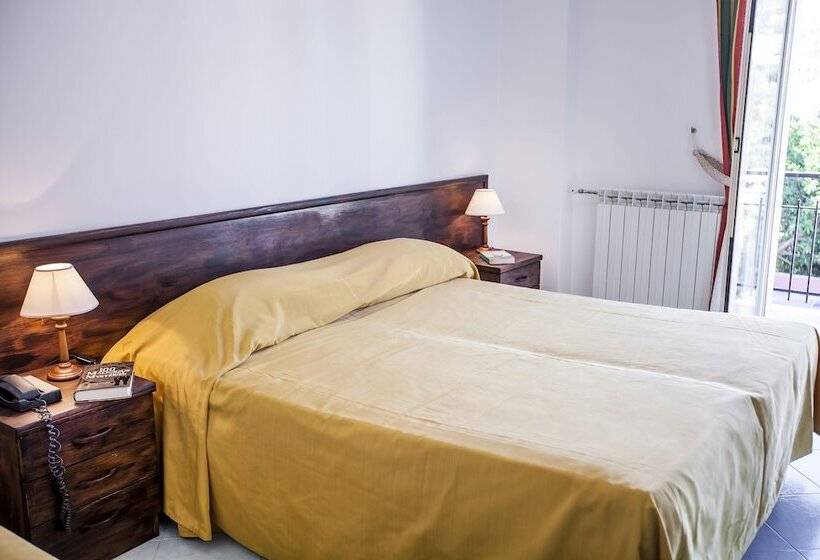 اتاق استاندارد یک نفره, Conte