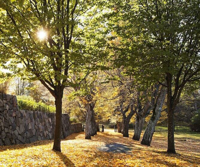 اتاق استاندارد یک نفره, Hesselby Slott