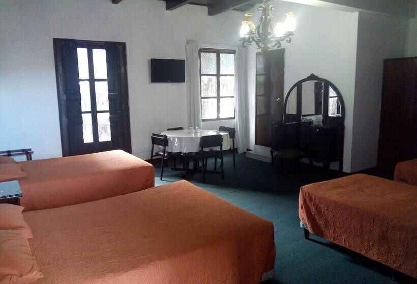 اتاق استاندارد چهار تخته, Spring