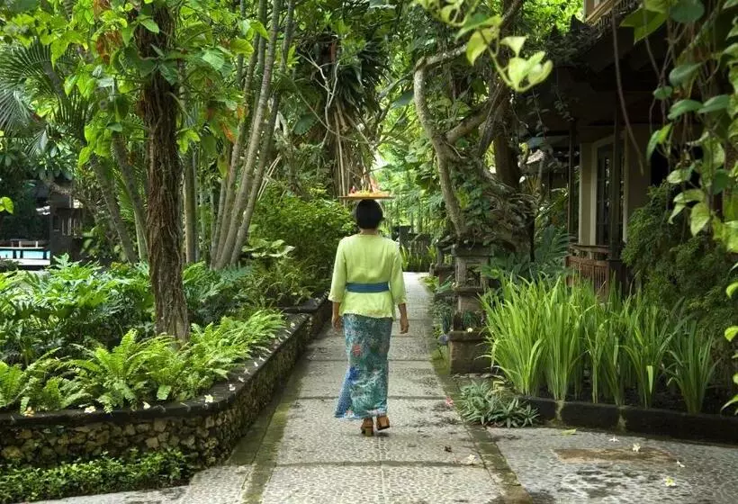 اتاق استاندارد, Puri Bambu