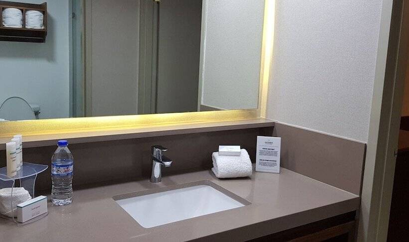 스탠다드 룸, Antaris Cintermex