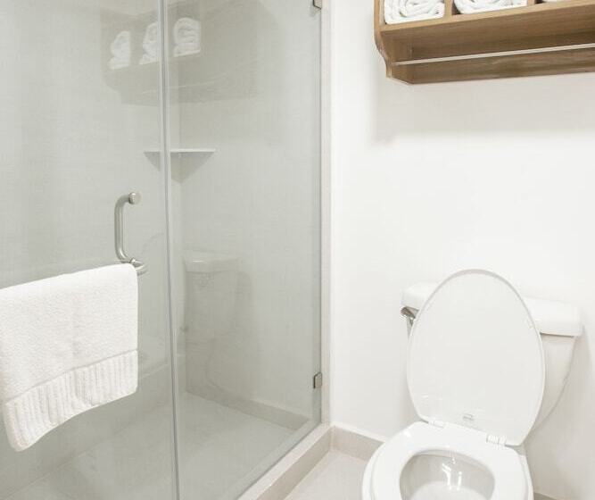 스탠다드 룸, Antaris Cintermex