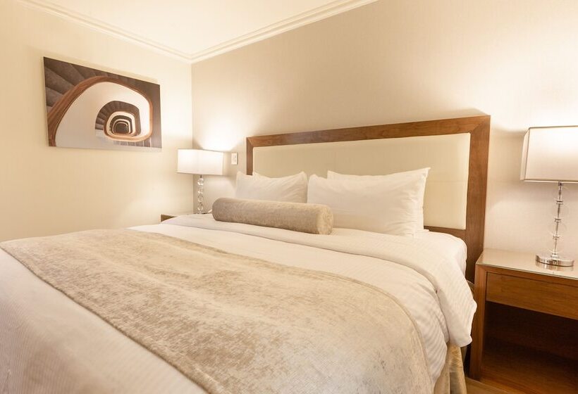 스탠다드 룸 킹사이즈 침대, Antaris Cintermex