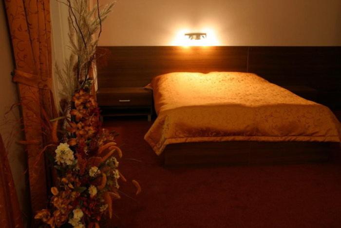 اتاق استاندارد, Jelen