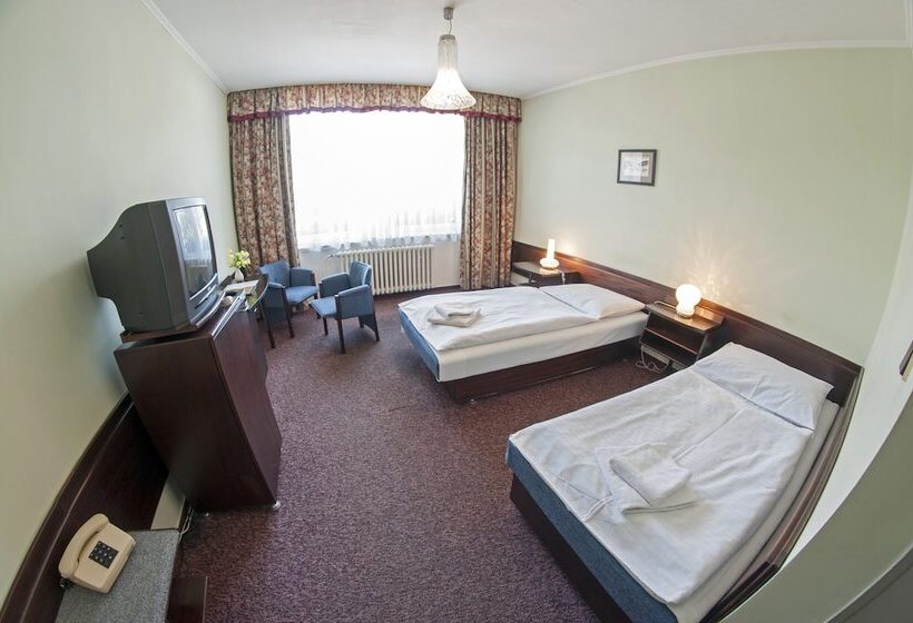 Номер Комфорт, Labuť