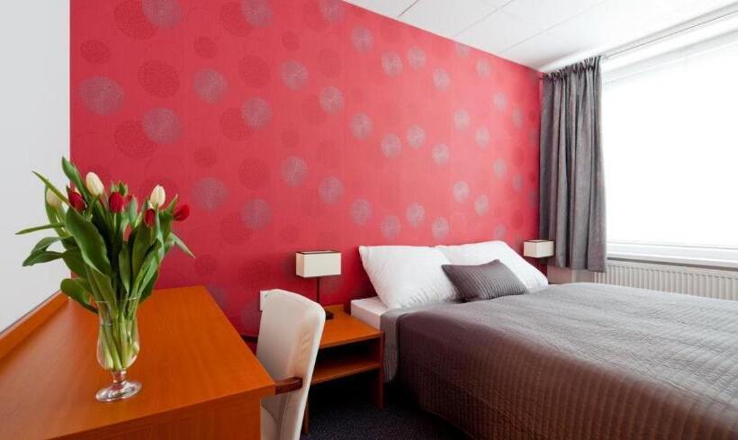 Номер Стандарт, Limba Ctt