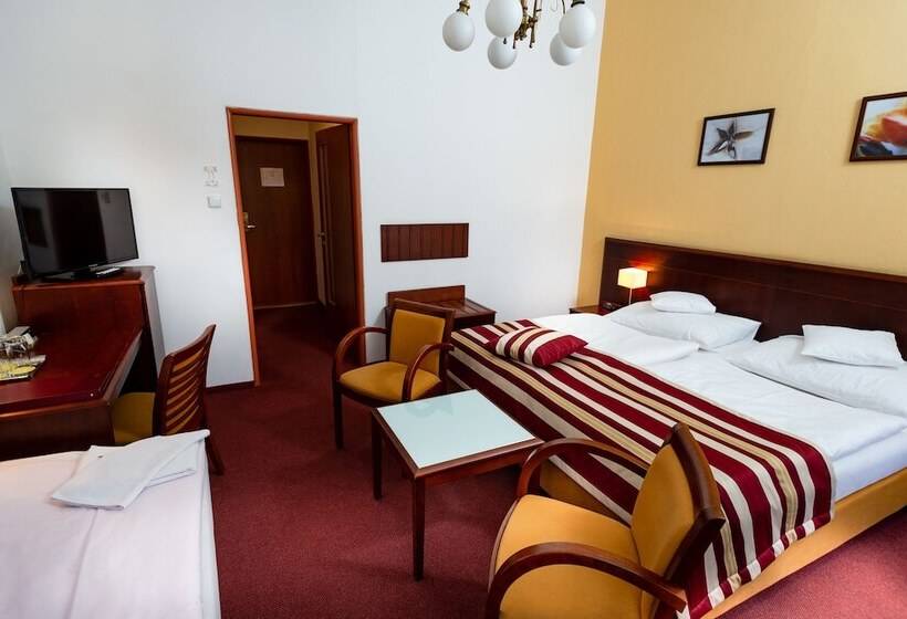 Quarto Estandar, Petr