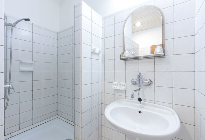 스탠다드 싱글 룸, Slovan Plzeň