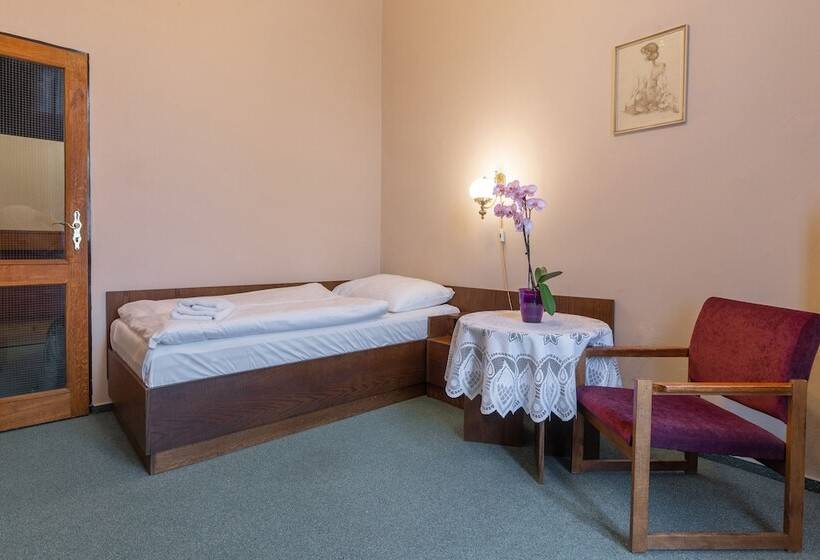 스탠다드 싱글 룸, Slovan Plzeň