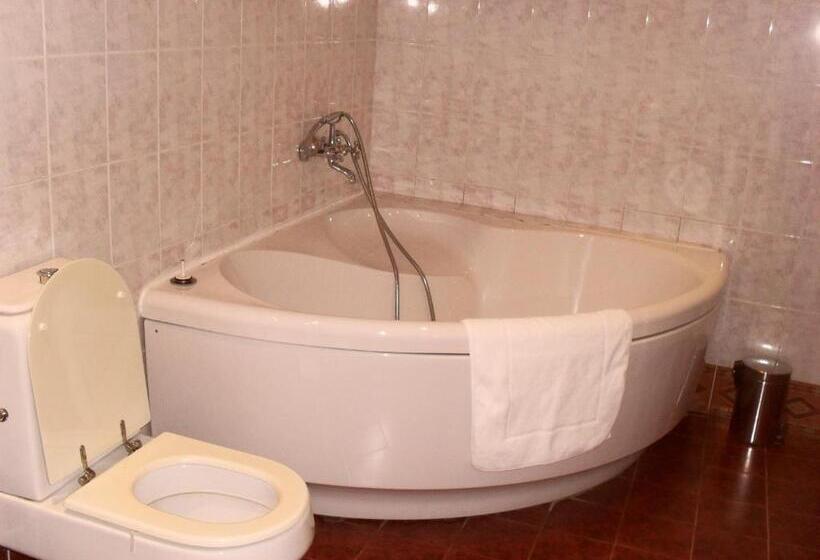 اتاق اکونومی, Stardust