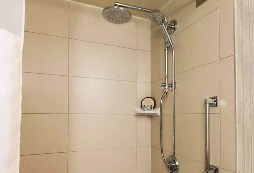 اتاق لوکس با تخت بزرگ, Hilton Antwerp Old Town