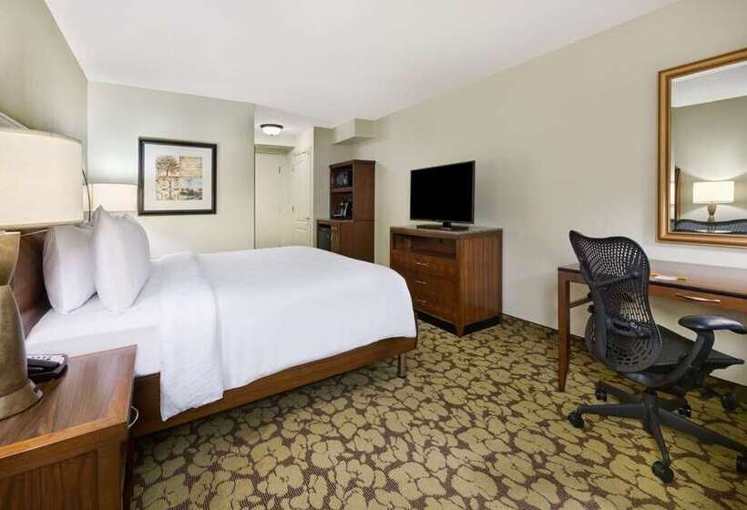 اتاق لوکس با تخت بزرگ, Hilton Antwerp Old Town