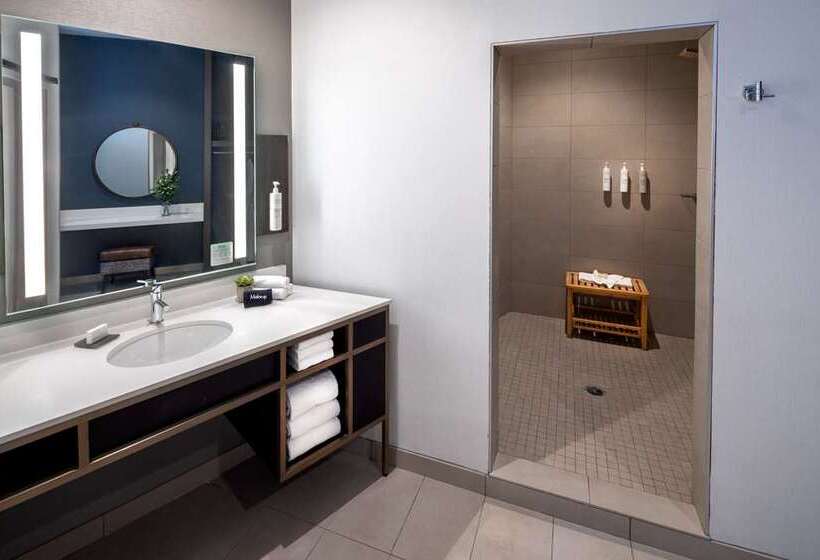 اتاق لوکس با تخت بزرگ, Hilton Antwerp Old Town