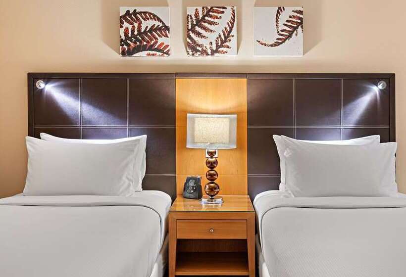 اتاق لوکس, Hilton Antwerp Old Town
