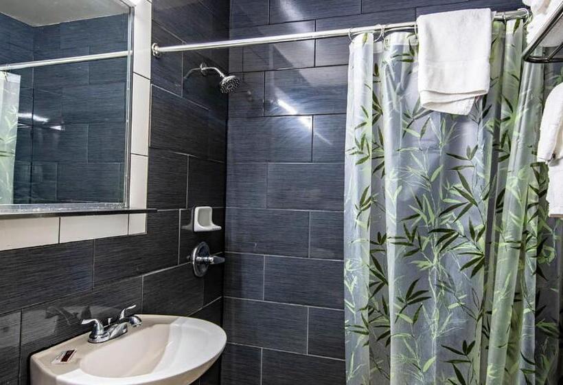 디럭스 4인 룸, Magnuson Grand Harrisburg