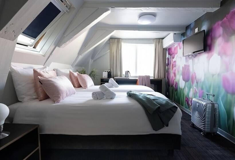 חדר סטנדרט, Multatuli