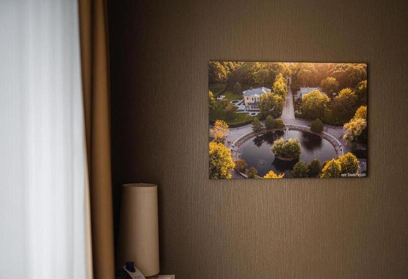 اتاق استاندارد یک نفره, Liva